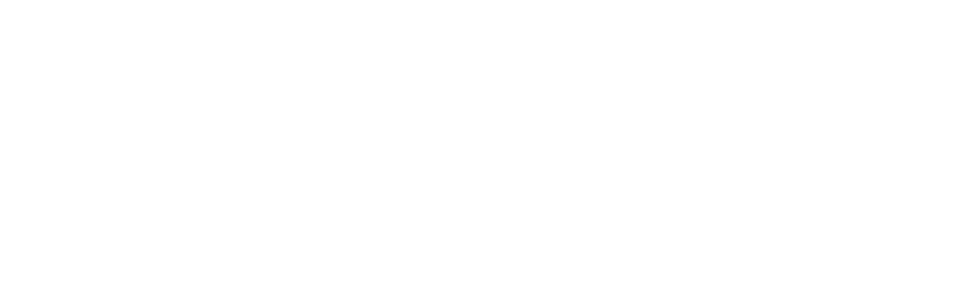 Honky Tonk Summer Jam Logo